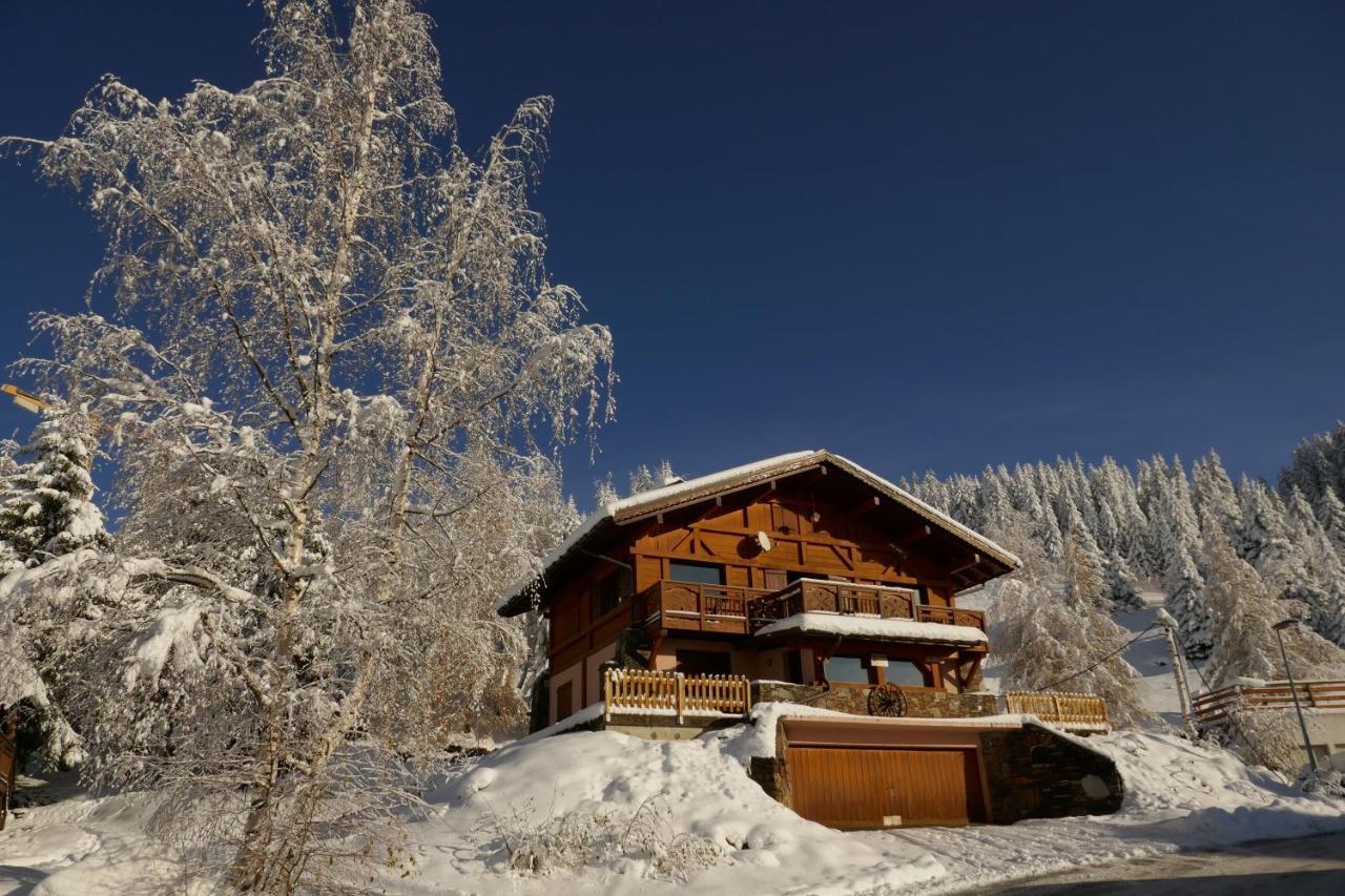 Les Saisies Cote Bisanne Appartement Dans Chalet Le Nepal Ngoại thất bức ảnh